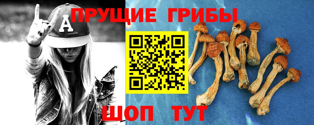 Саянск  Галлюциногенные грибы MAGIC MUSHROOMS  Вход с VPN 